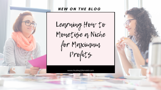 Learning How to Monetise a Niche for Maximum Profits