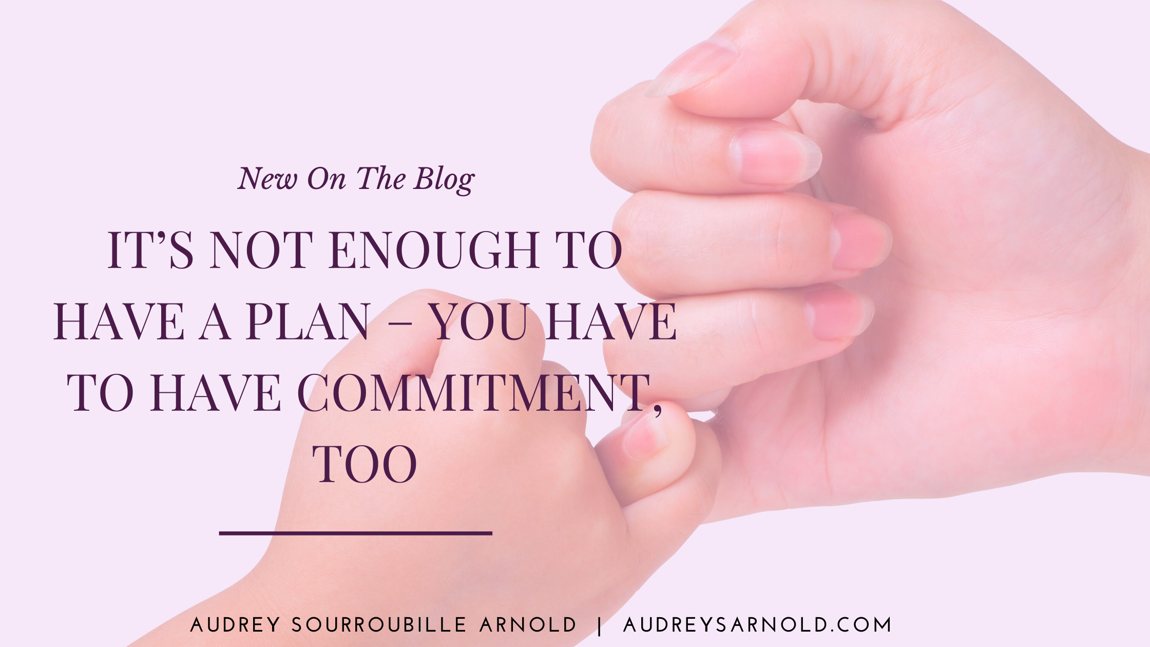 it-s-not-enough-to-have-a-plan-you-have-to-have-commitment-too-audrey-s-arnold