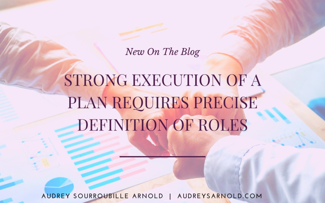 Strong Execution of a Plan Requires Precise Definition of Roles