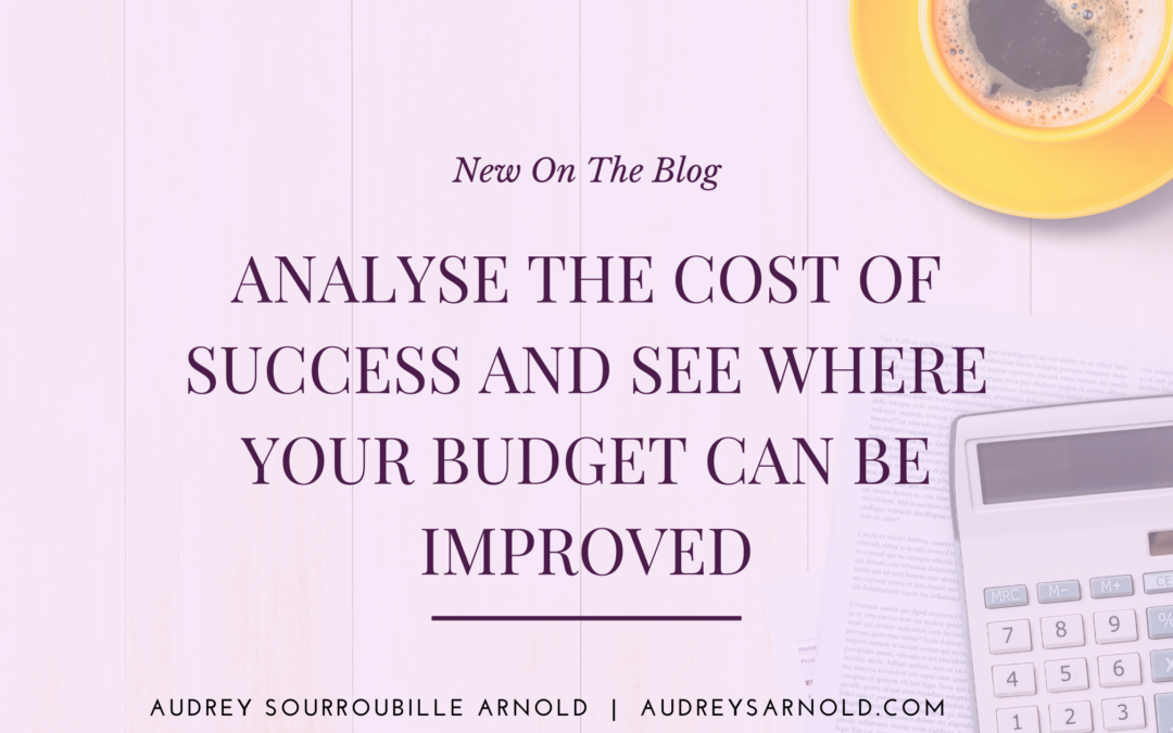 Analyse the Cost of Success and See Where Your Budget Can Be Improved