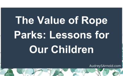 The Value of Rope Parks: Lessons for Our Children