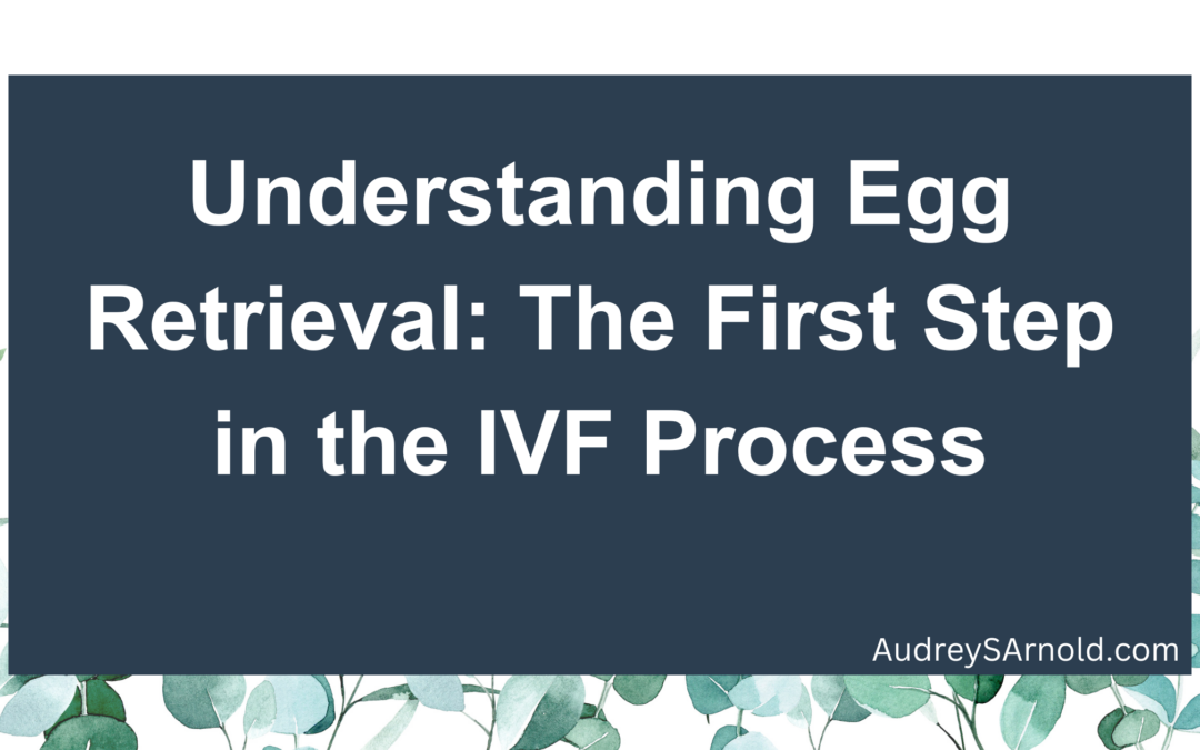 Understanding Egg Retrieval: The First Step in the IVF Process